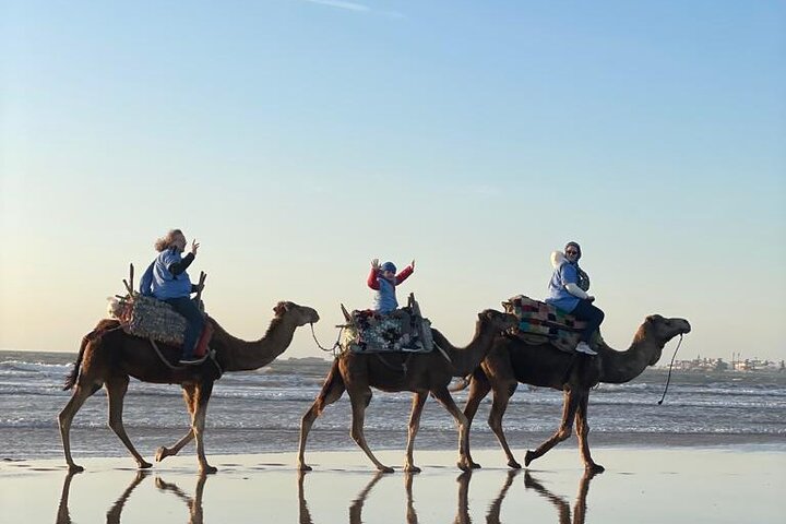 Essaouira Camel Ride, Quad Bike & Buggy Adventure