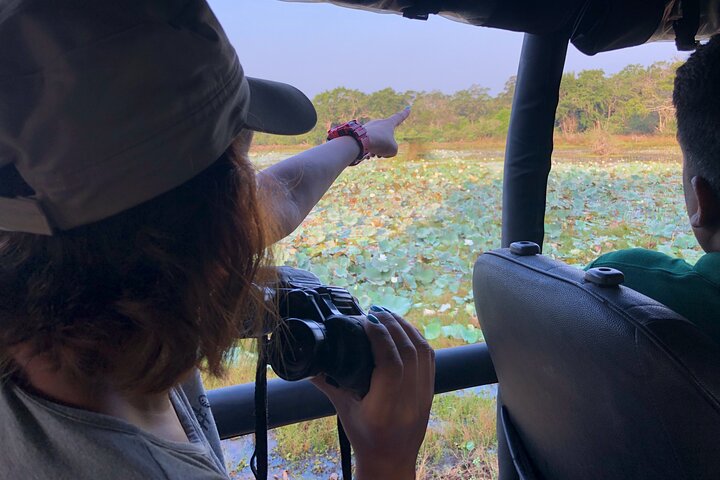 Guided Wilpattu Half Day Safari | Leopards, Bears & More