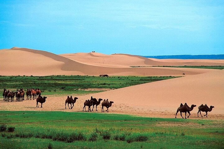 Semi-Gobi and Kharkhorum overnight private trip