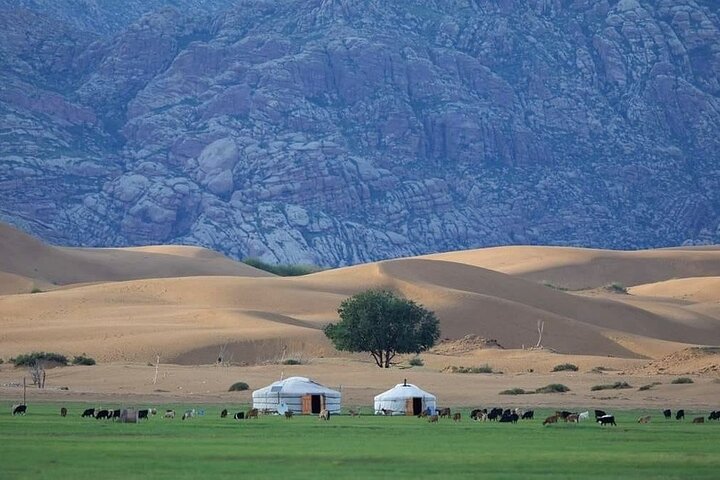 Semi-Gobi and Kharkhorum overnight private trip