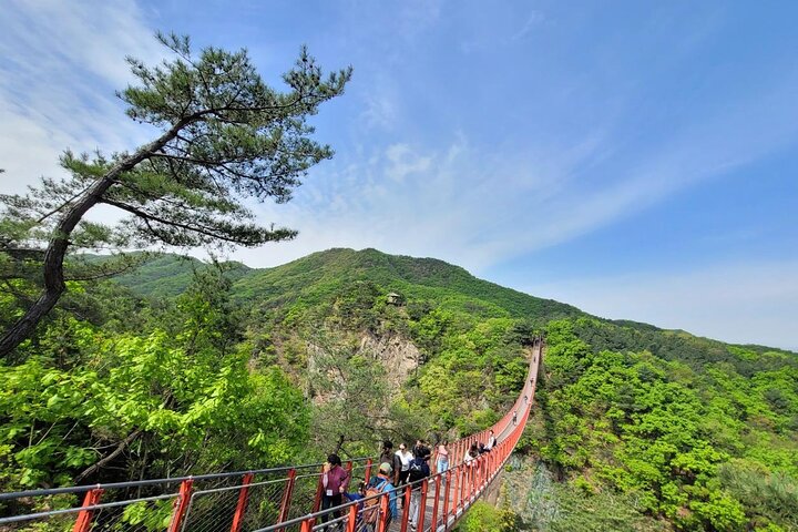 Small Group DMZ Tour with Hotel pickup : 3rd tunnel&Susp. Bridge