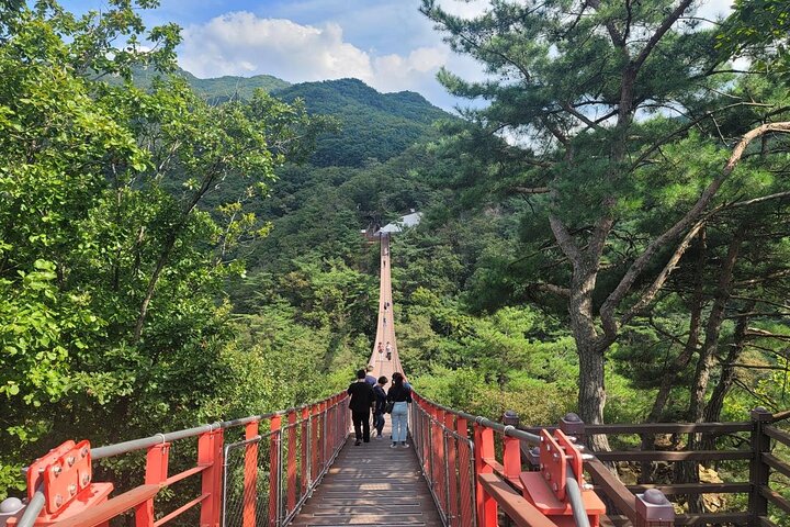 Small Group DMZ Tour with Hotel pickup : 3rd tunnel&Susp. Bridge