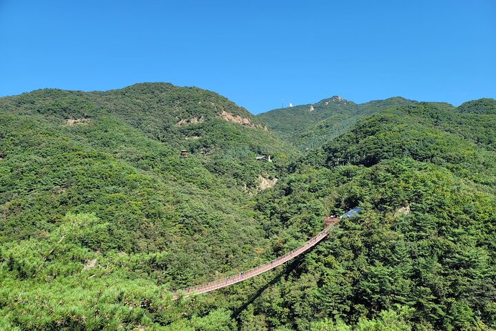 Small Group DMZ Tour with Hotel pickup : 3rd tunnel&Susp. Bridge
