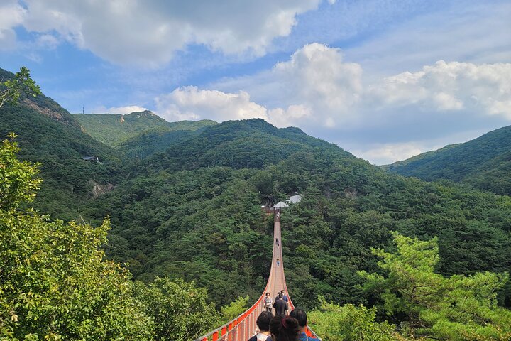 Small Group DMZ Tour with Hotel pickup : 3rd tunnel&Susp. Bridge