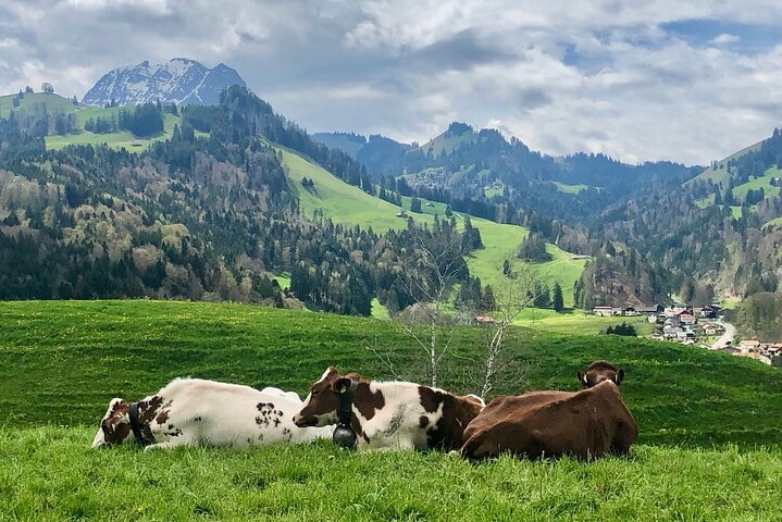 Gruyères Cheese and Chocolate tour from Geneva with local host