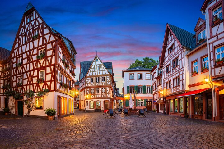 Private Guided Walking Tour in Mainz