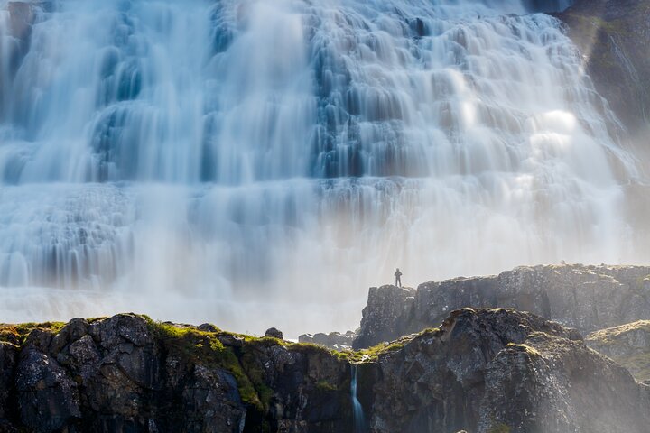 Dynjandi Waterfall & Westfjords Farm Tour from Ísafjörður