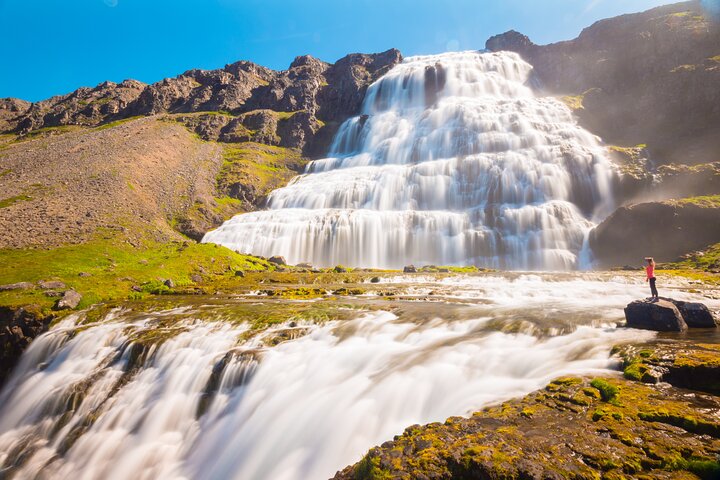 Dynjandi Waterfall & Westfjords Farm Tour from Ísafjörður