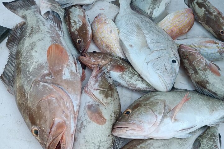 Cabo Catoche Tour with Fishing, Snorkeling and Ceviche