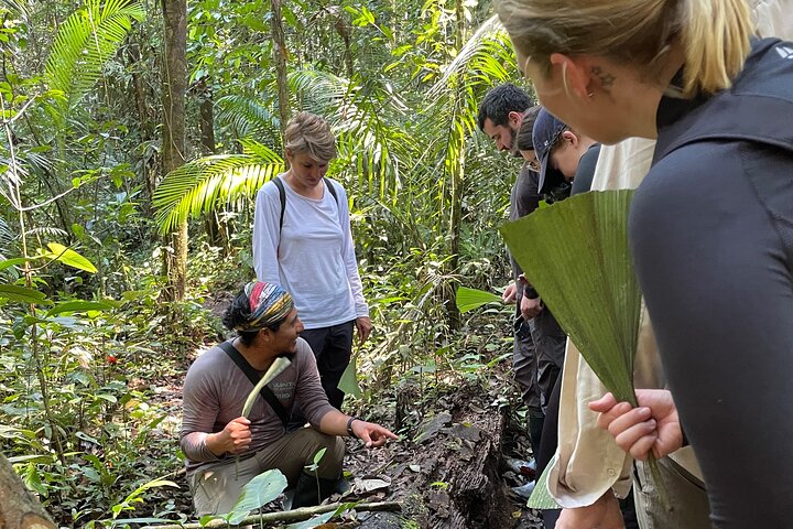 4 Days Cuyabeno Amazon Experience at Waita Lodge