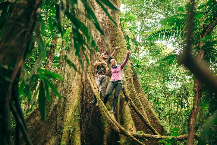4 Days Paddle Boarding in the Cuyabeno Reserve