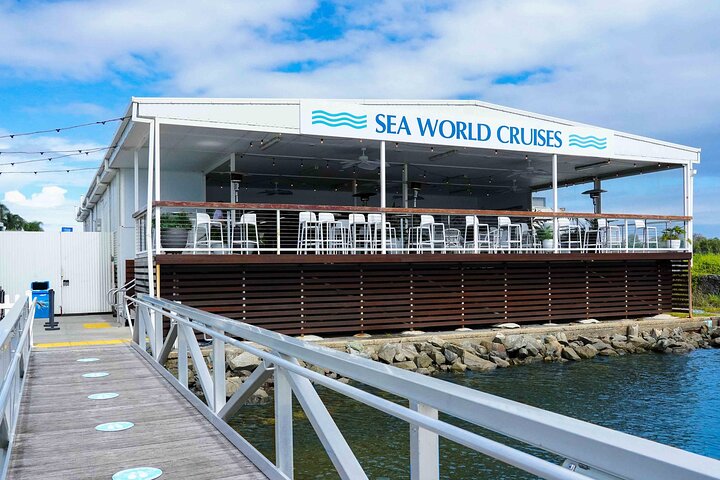 Whale Watching by Sea World Cruises