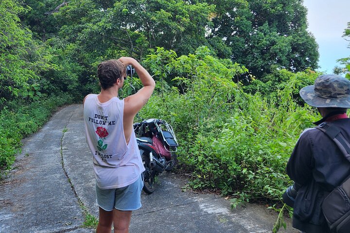 Endangered Monkeys Watching - Red Shanked Douc Langurs