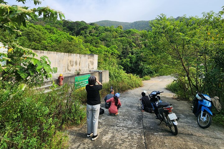 Endangered Monkeys Watching - Red Shanked Douc Langurs