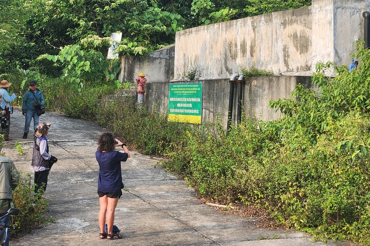 Endangered Monkeys Watching - Red Shanked Douc Langurs