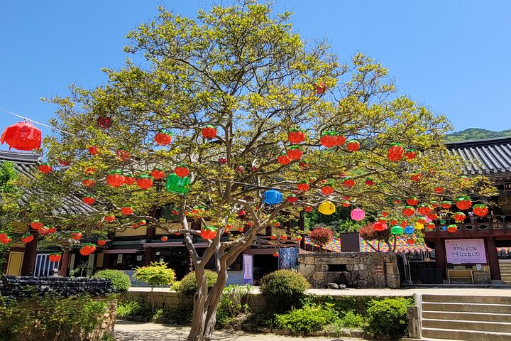 Suncheon one day tour from Seoul, Busan or Suncheon