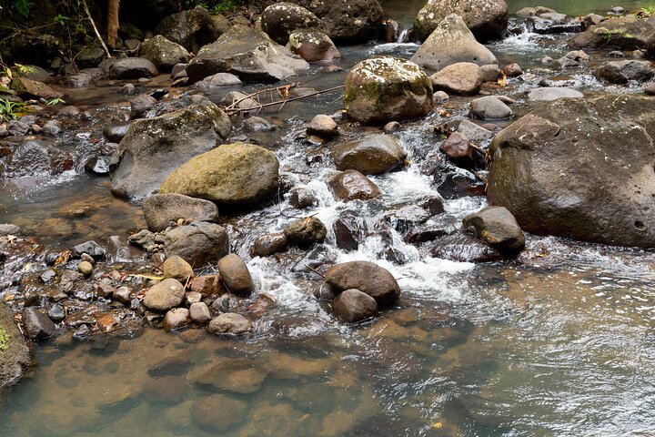 Rainforest Hike and Waterfall Safari
