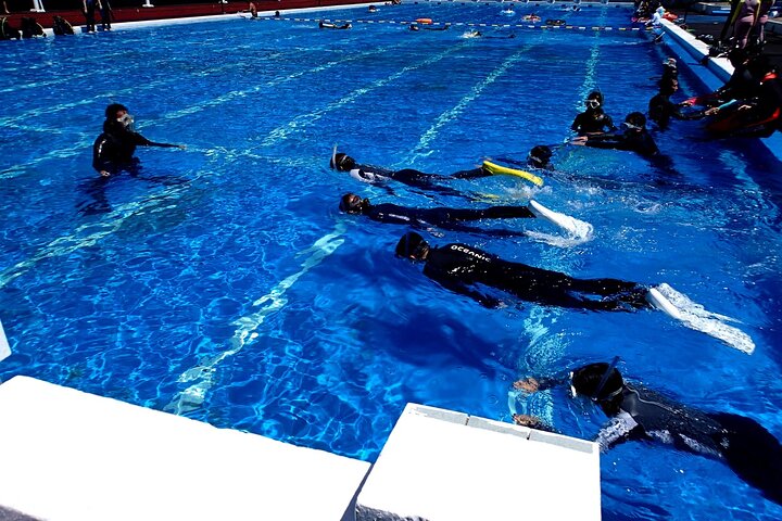 Enjoy Diving In Izu Discover Scuba Diving for Nondiver