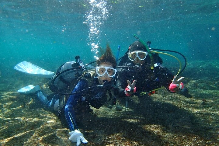 Enjoy Diving In Izu Discover Scuba Diving for Nondiver