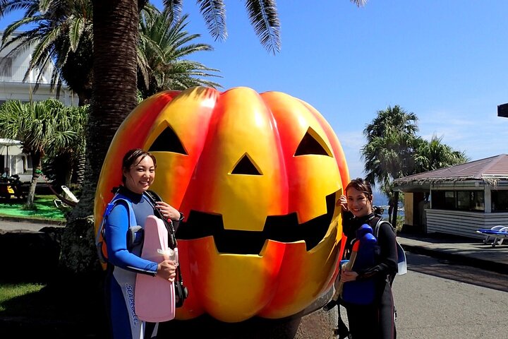 Enjoy Diving In Izu Discover Scuba Diving for Nondiver