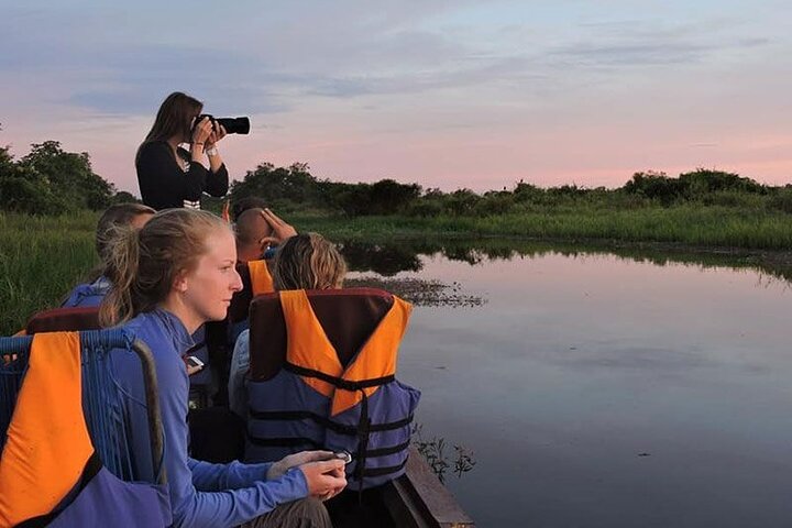 4-Day Amazon Tour: Madidi & Yacuma Pampas from Rurrenabaque