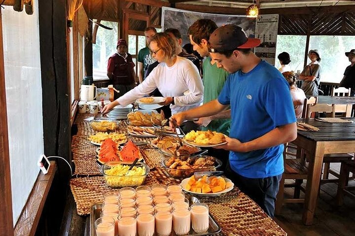 4-Day Amazon Tour: Madidi & Yacuma Pampas from Rurrenabaque