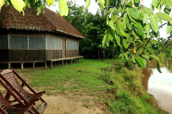 4-Day Amazon Tour: Madidi & Yacuma Pampas from Rurrenabaque