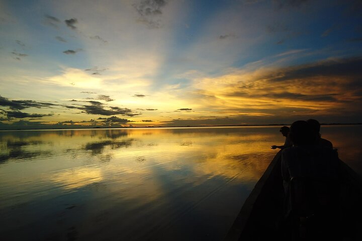 4-Day Amazon Tour: Madidi & Yacuma Pampas from Rurrenabaque