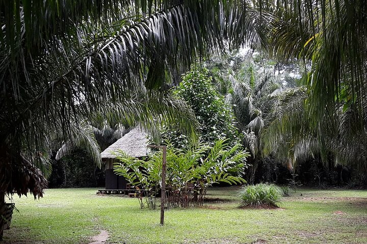 4-Day Amazon Tour: Madidi & Yacuma Pampas from Rurrenabaque