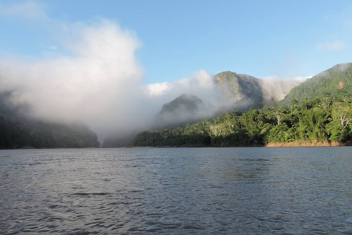 4-Day Amazon Tour: Madidi & Yacuma Pampas from Rurrenabaque
