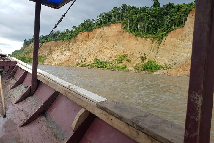 4-Day Amazon Tour: Madidi & Yacuma Pampas from Rurrenabaque