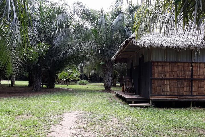 5-Day Madidi & Pampas Amazon Tour from Rurrenabaque