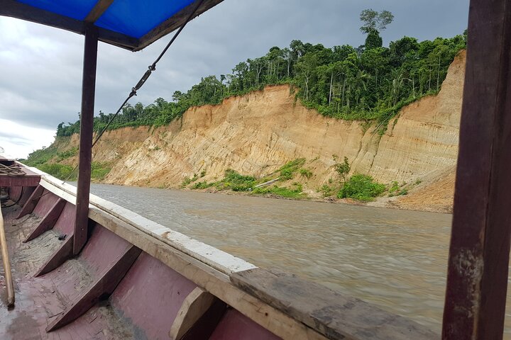 5-Day Madidi & Pampas Amazon Tour from Rurrenabaque