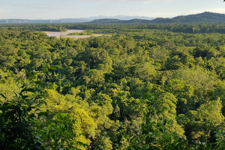 5-Day Madidi & Pampas Amazon Tour from Rurrenabaque