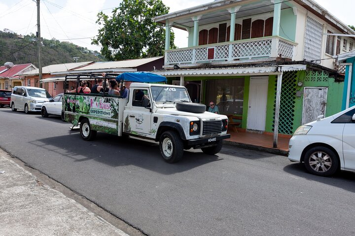 Rainforest Hike and Waterfall Safari