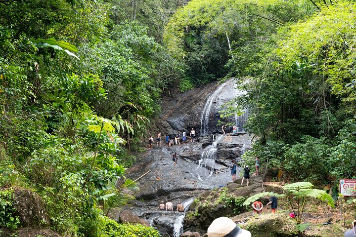 Rainforest Hike and Waterfall Safari
