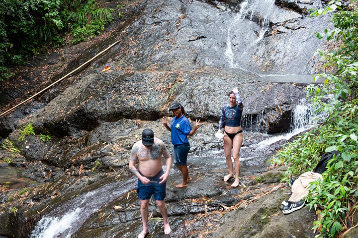 Rainforest Hike and Waterfall Safari