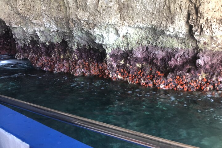 Private boat tour with prosecco and fresh fruit