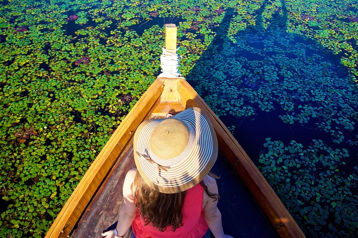 From Petrovac or Budva: Skadar Lake Cruise with Lunch
