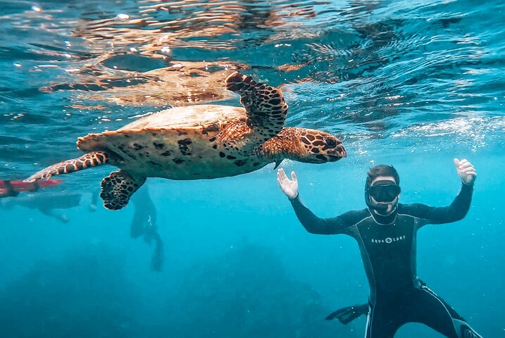 Caño Island all inclusive Snorkeling Tour in small groups