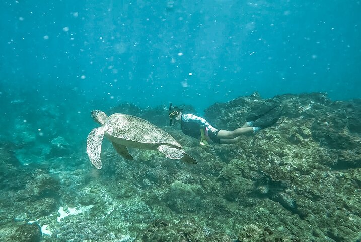 Caño Island all inclusive Snorkeling Tour in small groups