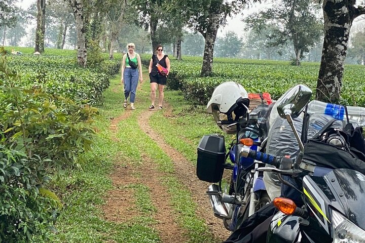 3-Day Dalat Motorbike Loop Tour | Hidden gems of the highlands