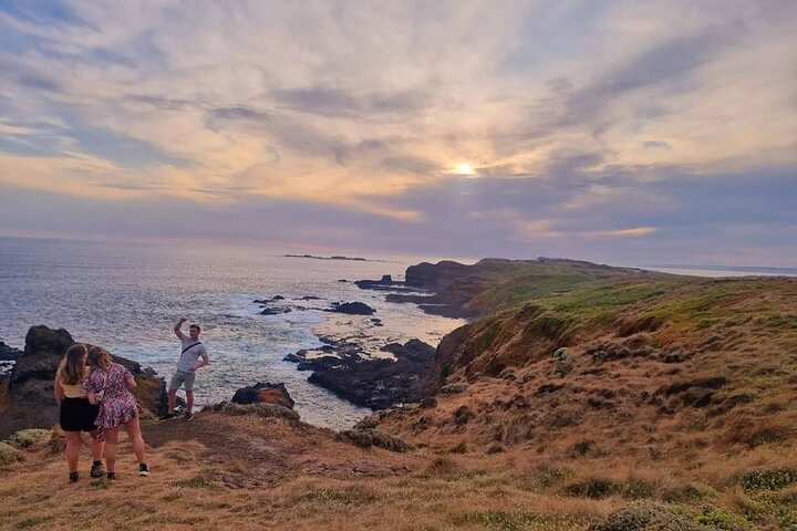 Phillip Island: Golden Hour Penguin Express Tour w/ Island Pickup