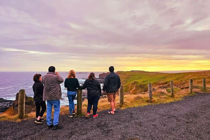 Phillip Island: Golden Hour Penguin Express Tour w/ Island Pickup