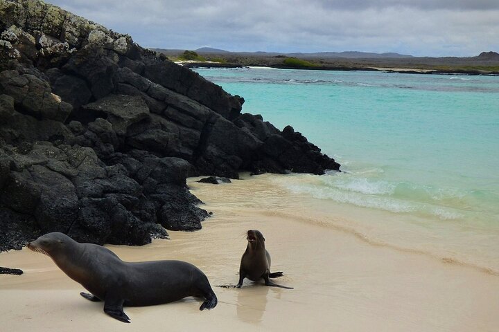San Cristobal Galapagos 360 - Snorkeling Tour (Kicker Rock)