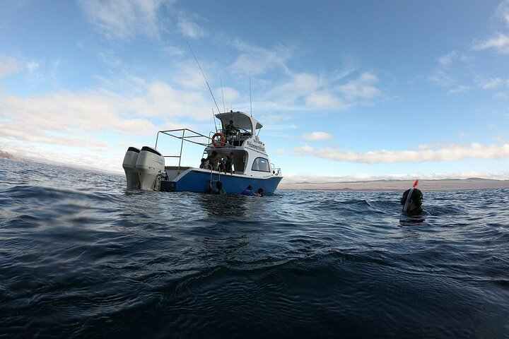 San Cristobal Galapagos 360 - Snorkeling Tour (Kicker Rock)