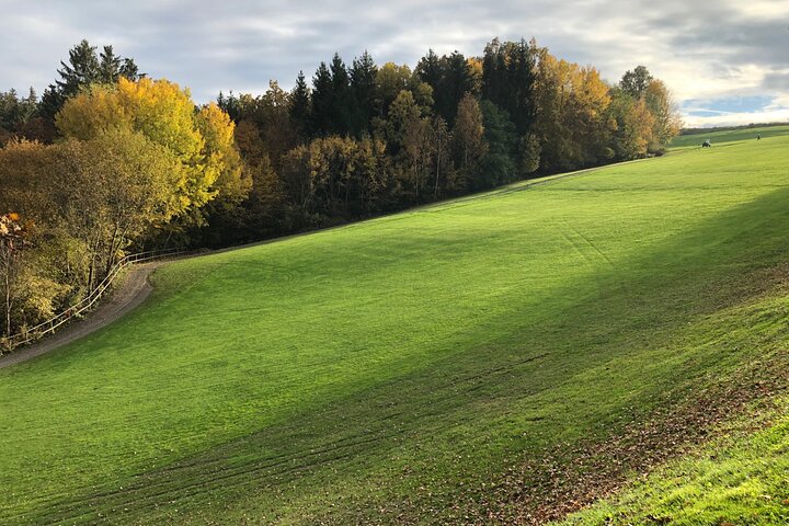 Private round of golf and golf swing Stegersbach