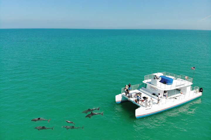 All-Inclusive Sandbar Safari with Dolphin Playground Encounter