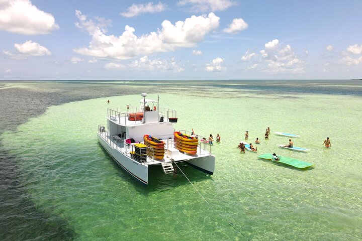 All-Inclusive Sandbar Safari with Dolphin Playground Encounter