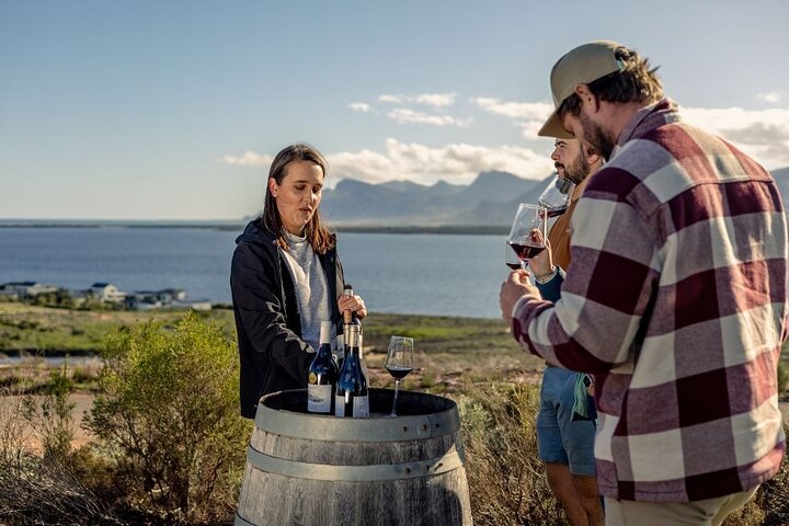 Vineyard Safari and Wine Tasting in Hermanus with Guide